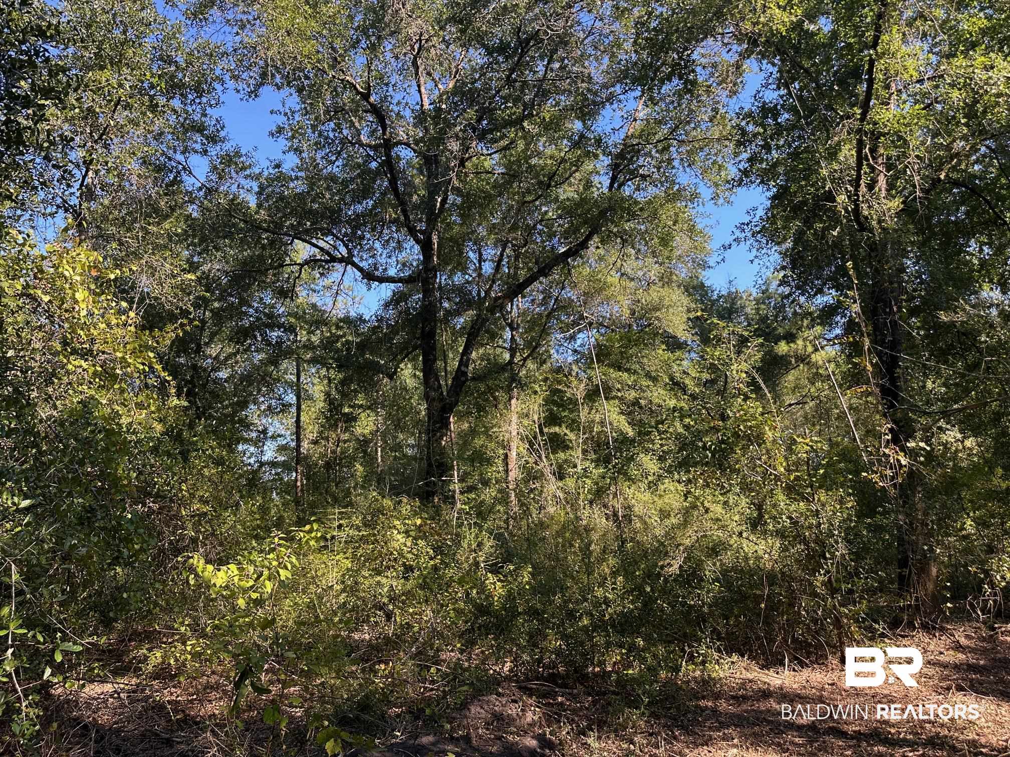 0 Newman Road Mobile, AL 36695 - Photo 9 of 36 View of tree filled area