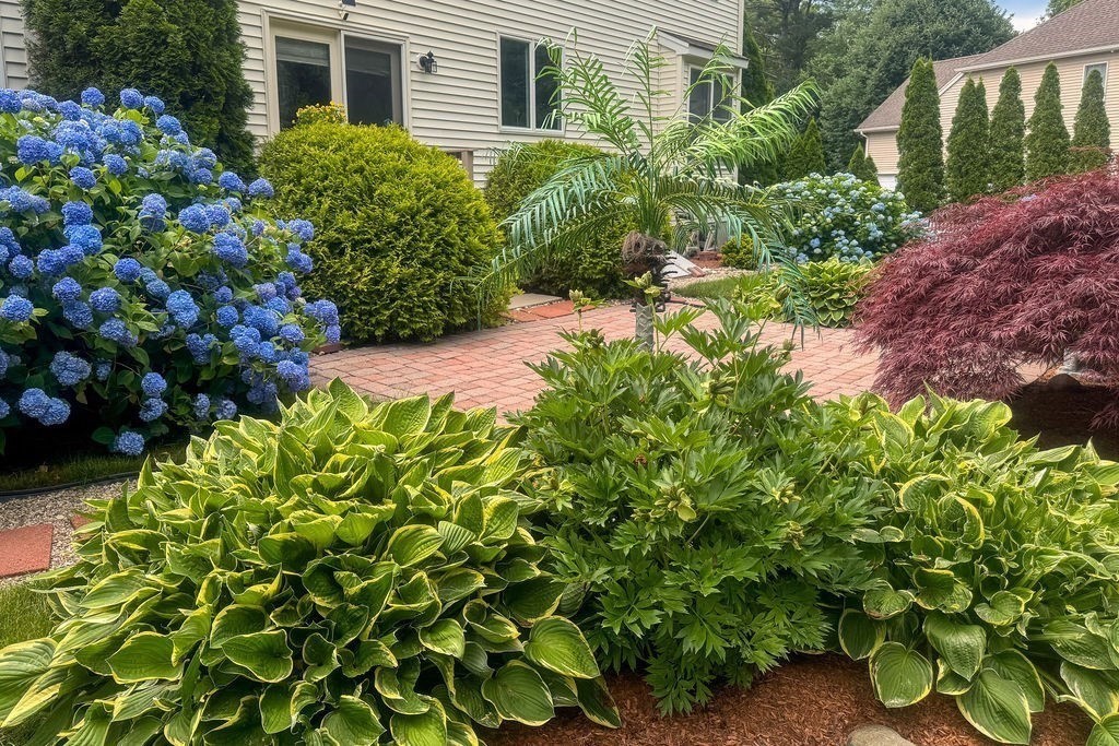 30 Hancock Road Franklin, MA 02038 - Photo 40 of 42