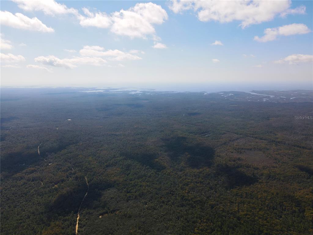 Tbd Quail Road Chiefland, FL 32626 - Photo 14 of 24