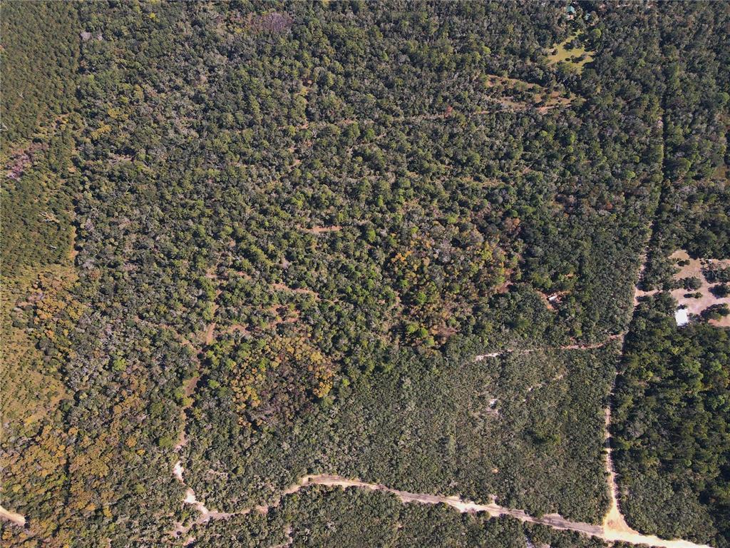 Tbd Quail Road Chiefland, FL 32626 - Photo 17 of 24 a close up of a sink