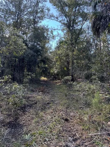 a view of outdoor space with trees