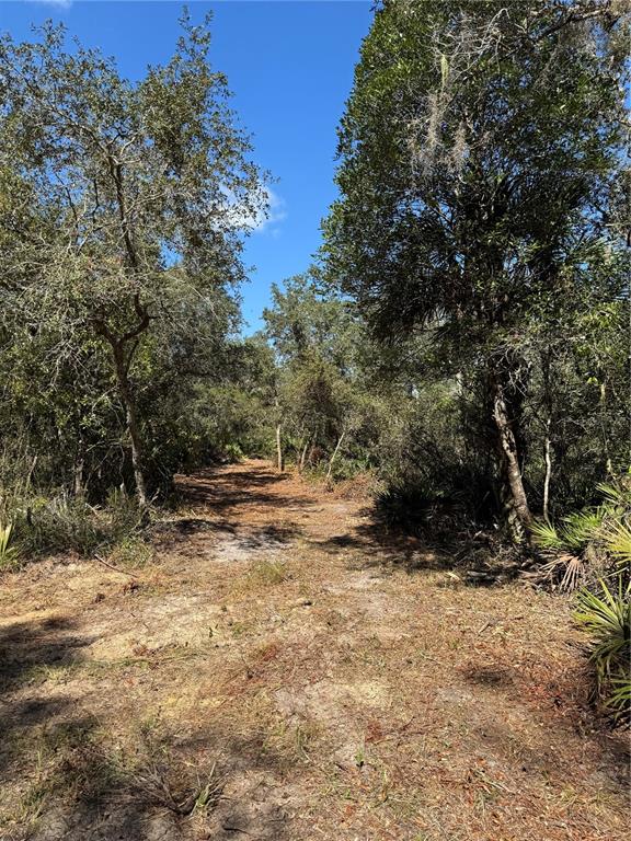 Tbd Quail Road Chiefland, FL 32626 - Photo 21 of 24 a view of outdoor space with trees
