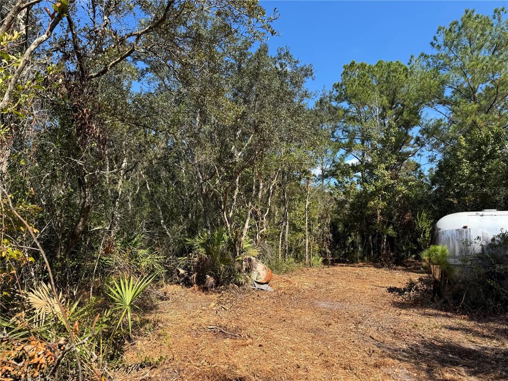 Tbd Quail Road Chiefland, FL 32626 - Photo 22 of 24 a backyard of a house with lots of green space