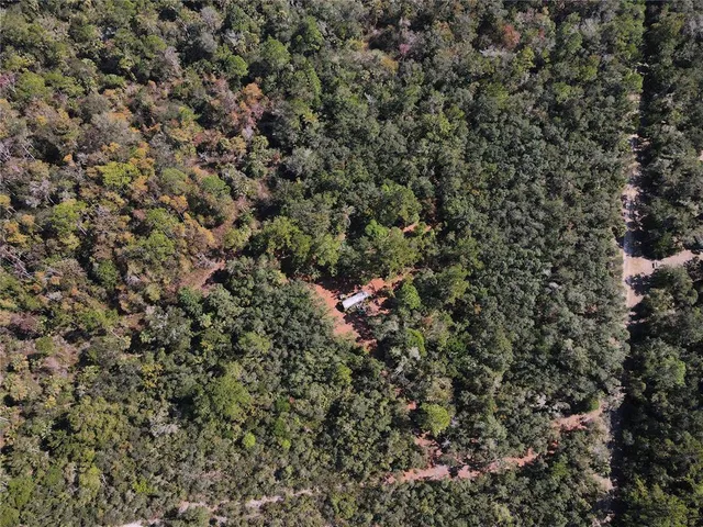 a view of a tree in a field