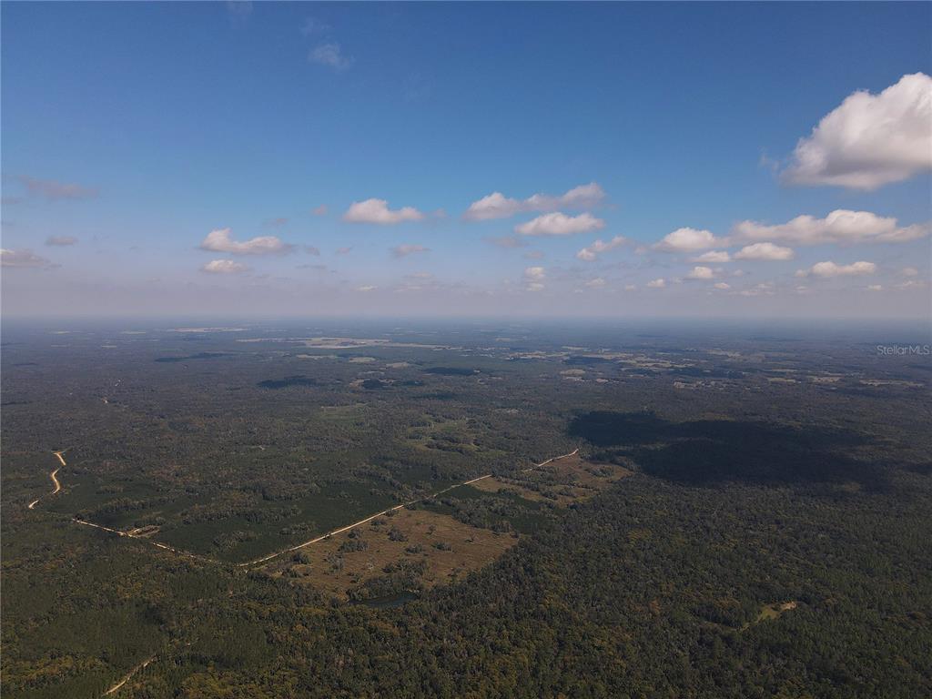 Tbd Quail Road Chiefland, FL 32626 - Photo 8 of 24 a view of a city street from a building