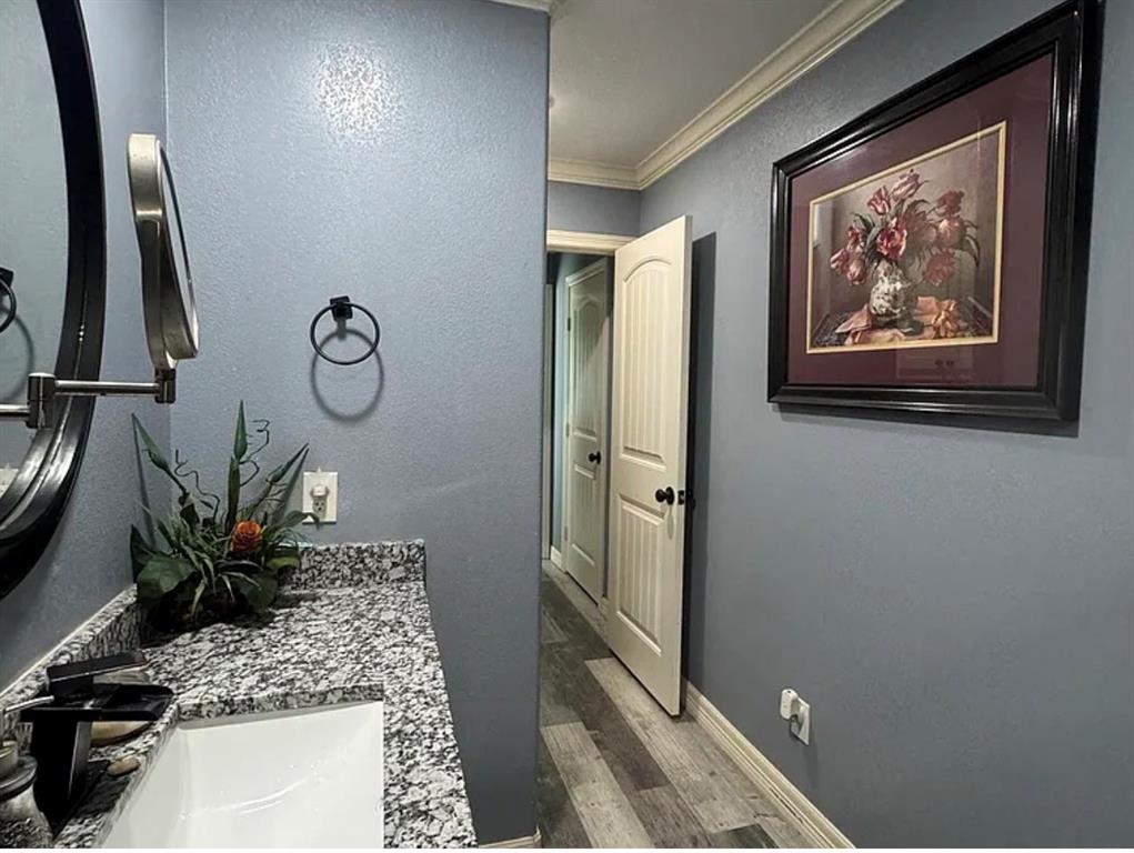 8261 County Road 381 Tyler, TX 75708 - Photo 31 of 40 a view of bathroom with a potted plant on a sink and a mirror