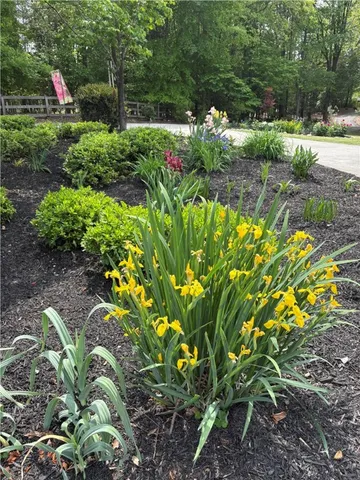 $1,900,000 | 1214 Sunset Lane, Anderson, SC 29626