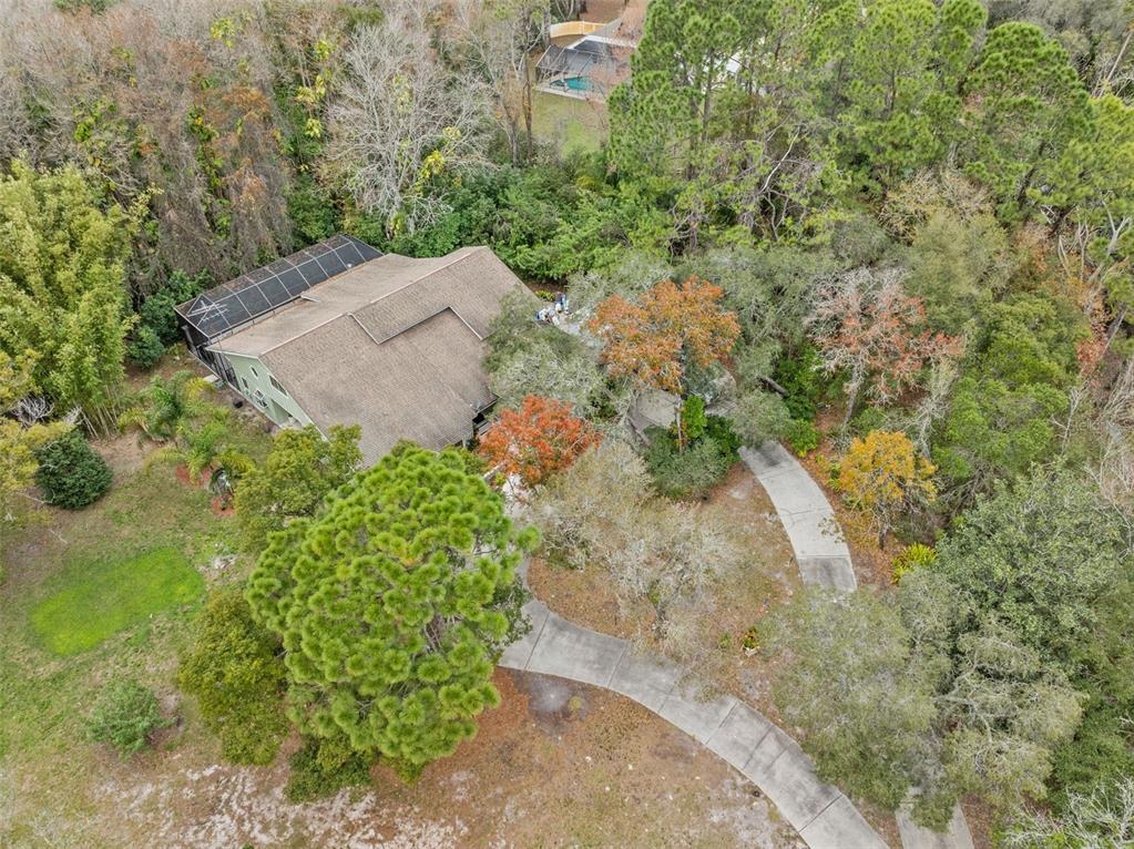 1237 Littlefield Drive New Port Richey, FL 34655 - Photo 66 of 70 Gallery Image 66
