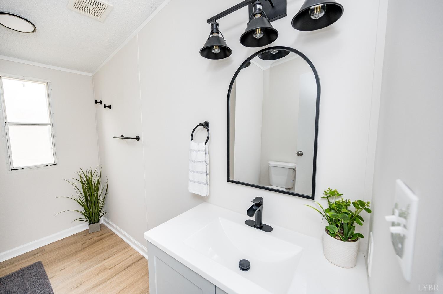 1636 Maddox Road Gladys, VA 24554 - Photo 23 of 54 a bathroom with a sink a mirror and a potted plant