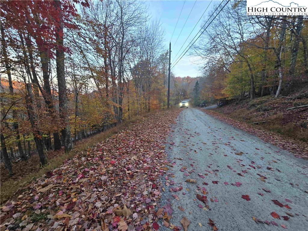a view of a yard with trees