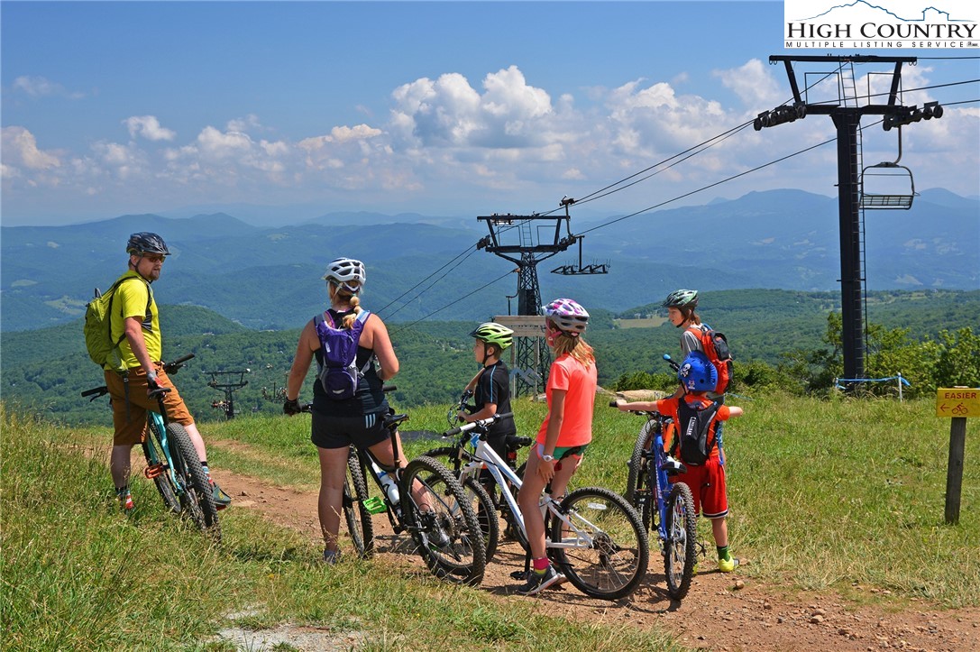 119 Shagbark Road Beech Mountain, NC 28604 - Photo 13 of 15 a view of a yard with furniture