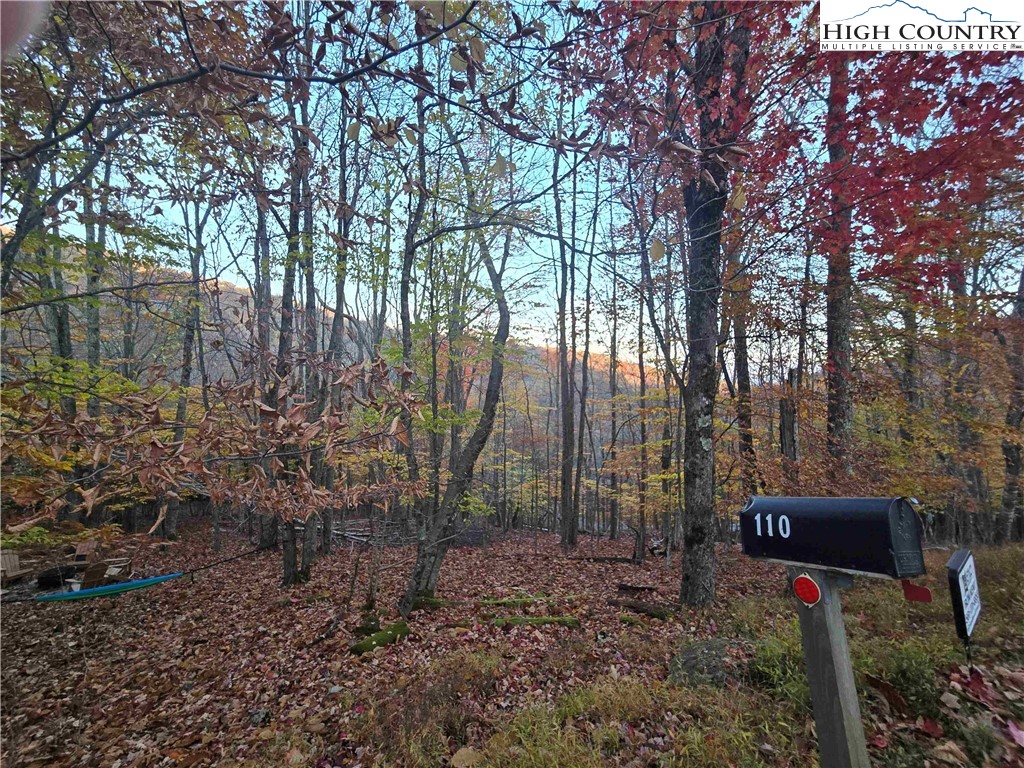 119 Shagbark Road Beech Mountain, NC 28604 - Photo 2 of 15 a garden view with a seating space