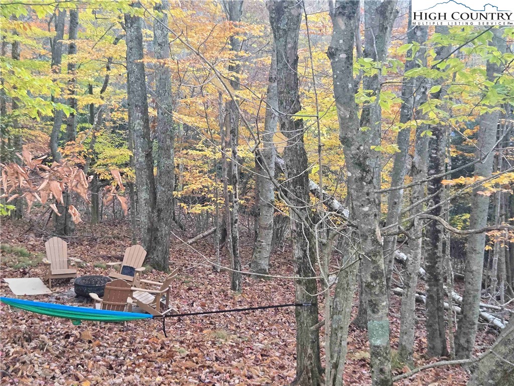 119 Shagbark Road Beech Mountain, NC 28604 - Photo 3 of 15 a vase of flowers sitting on a table
