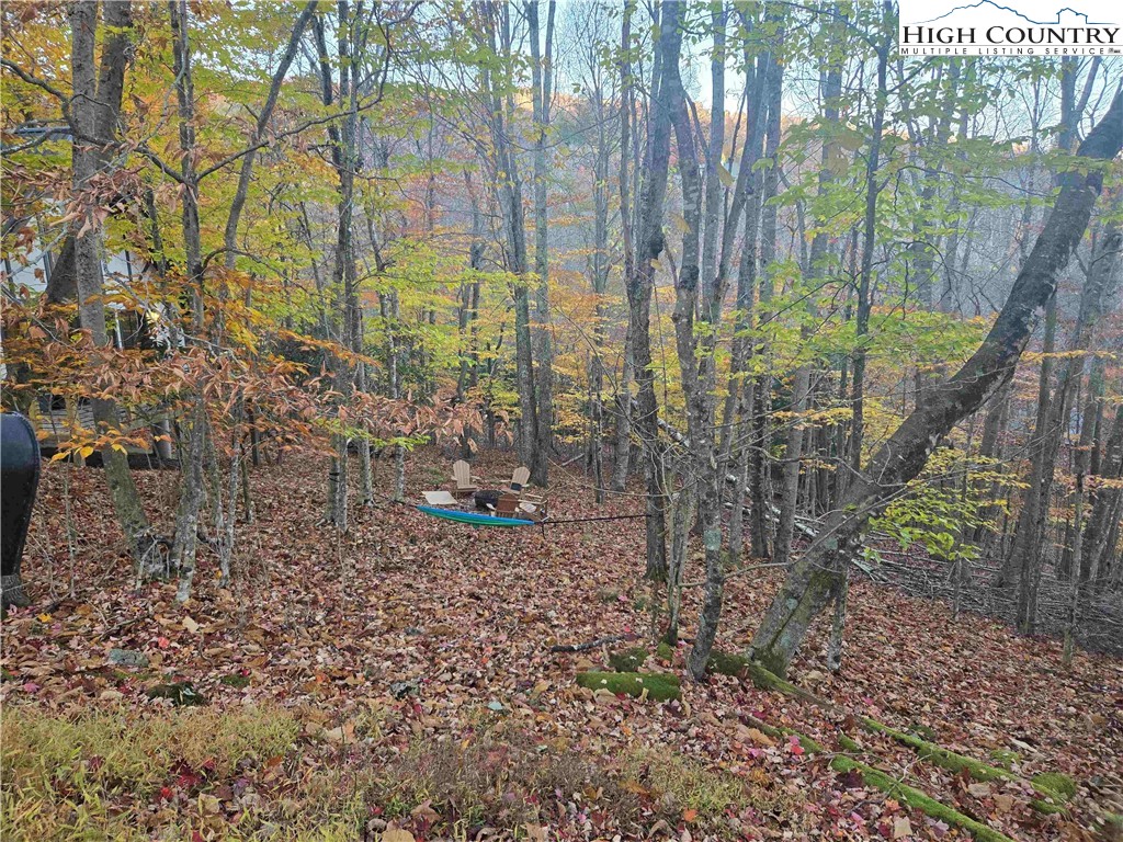119 Shagbark Road Beech Mountain, NC 28604 - Photo 4 of 15 a view of a garden with a tree