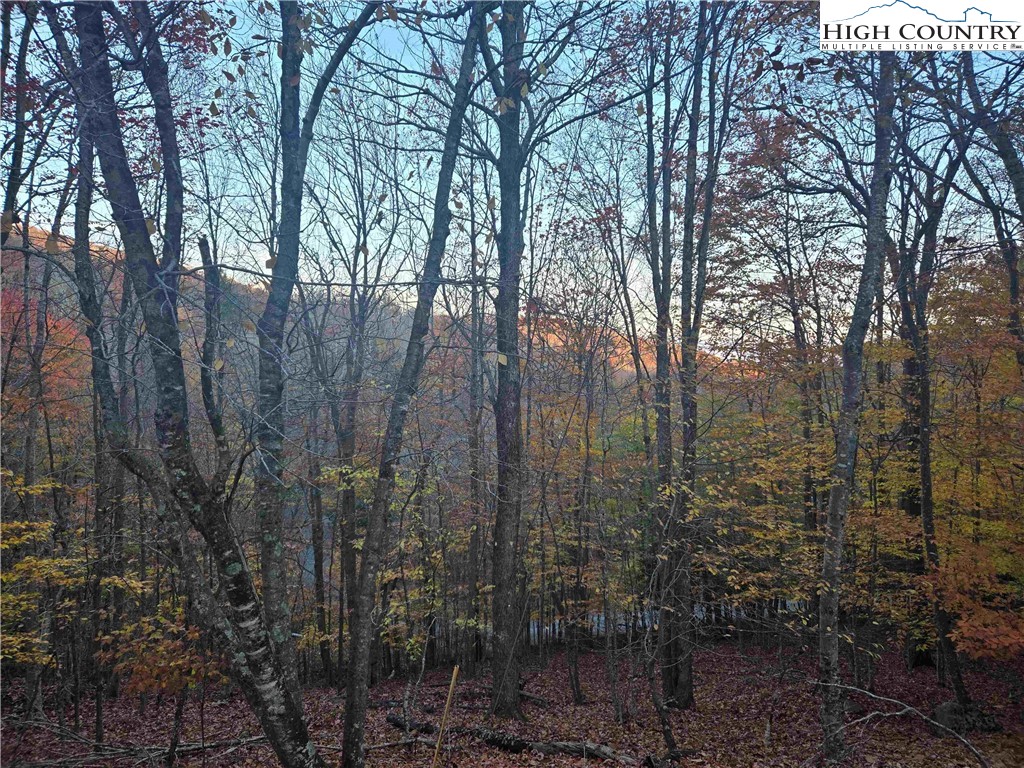 119 Shagbark Road Beech Mountain, NC 28604 - Photo 6 of 15 a view of forest