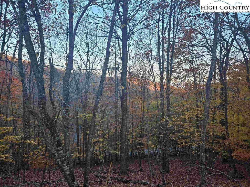 119 Shagbark Road Beech Mountain, NC 28604 - Photo 9 of 15