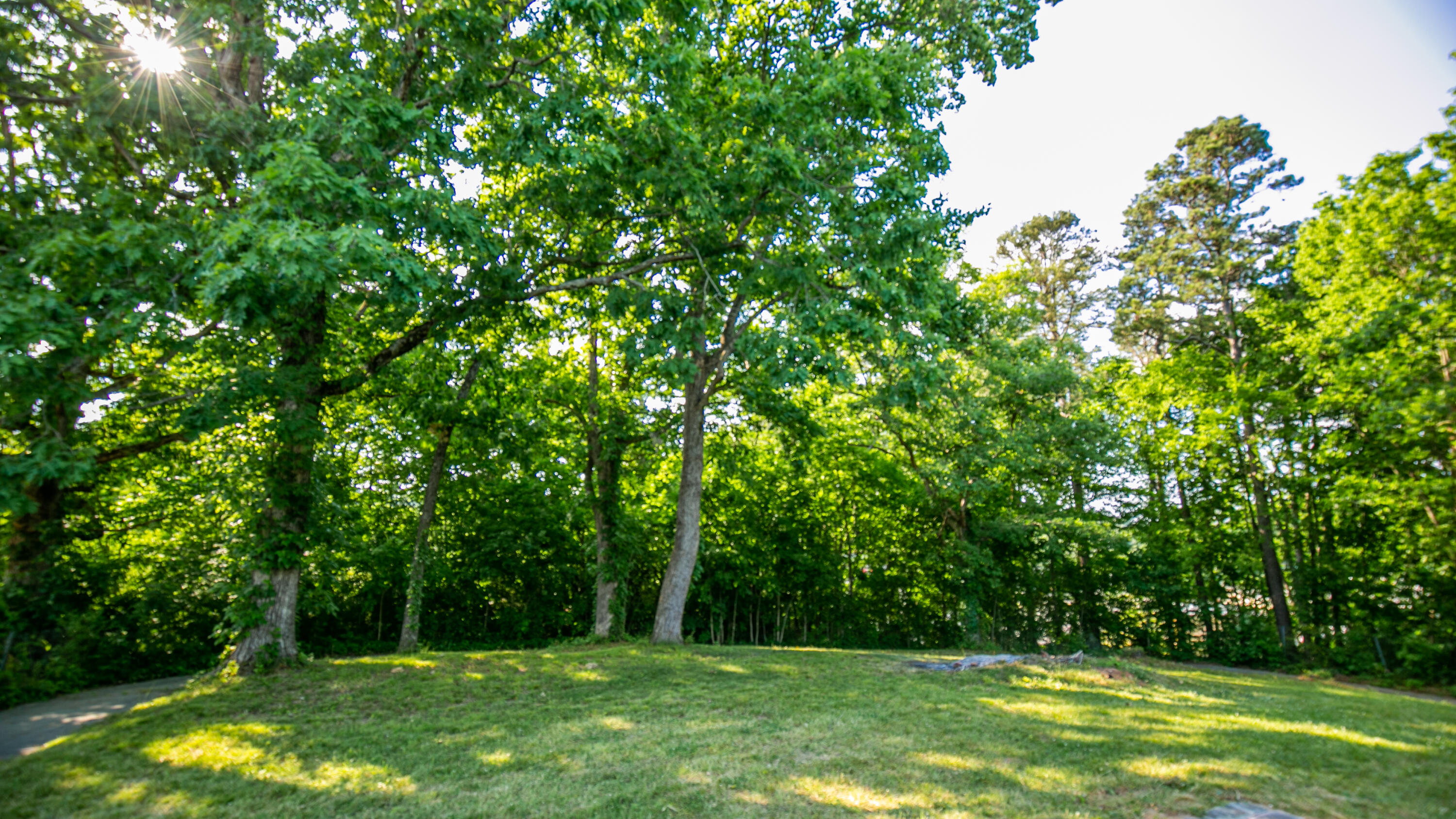 1700 Forest Ridge Circle Cleveland, TN 37311 - Photo 35 of 36 AC8A5308