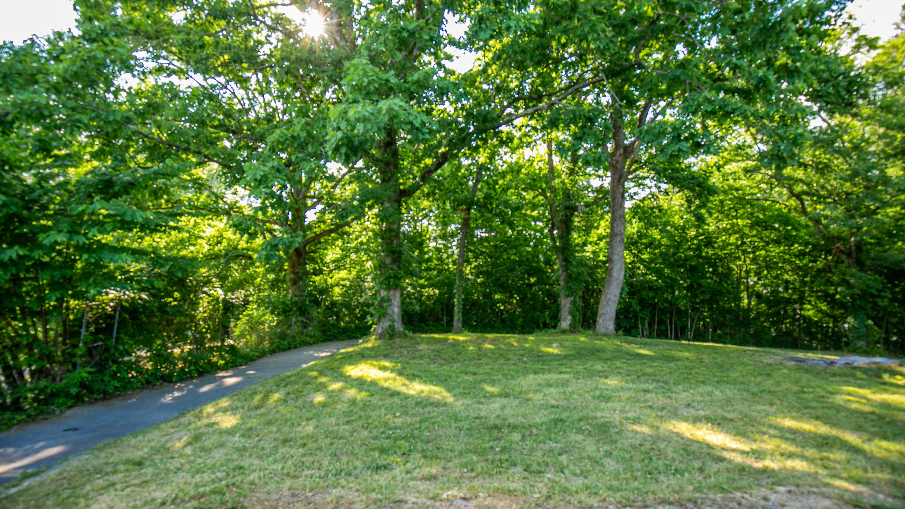 1700 Forest Ridge Circle Cleveland, TN 37311 - Photo 36 of 36 AC8A5304