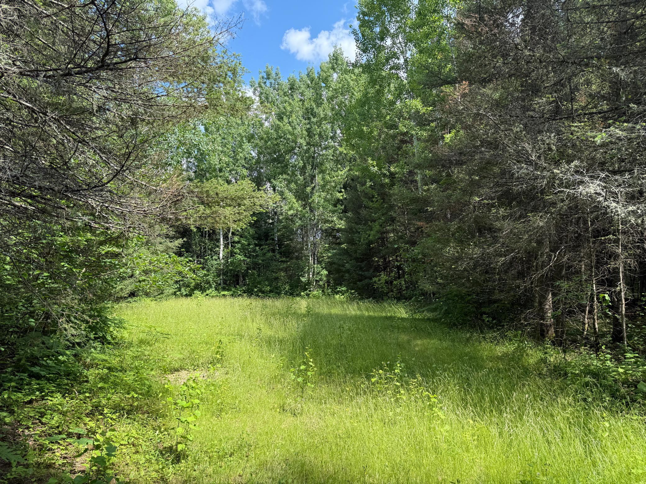 8124 Virginia Ely Road Babbitt, MN 55706 - Photo 99 of 104