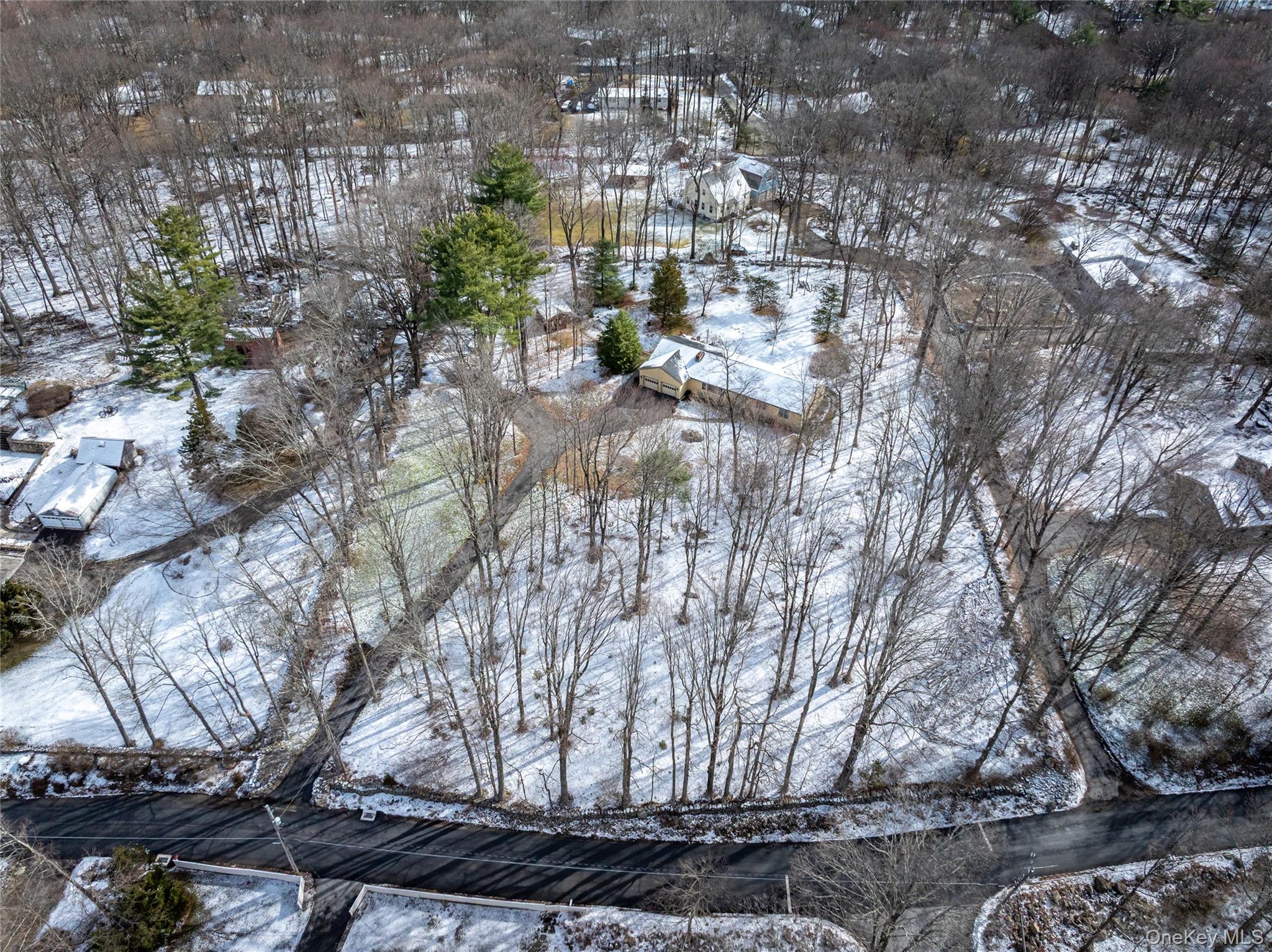50 W Road South Salem, NY 10590 - Photo 25 of 29 a picture of trees
