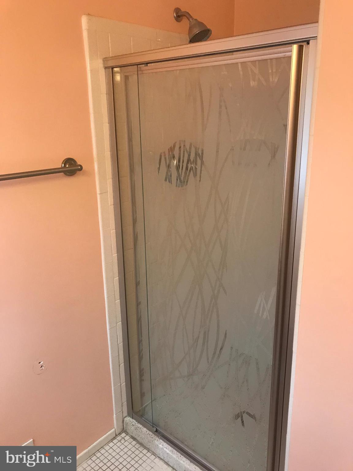 810 Smoke Tree Road Baltimore, MD 21208 - Photo 20 of 25 Master stall shower