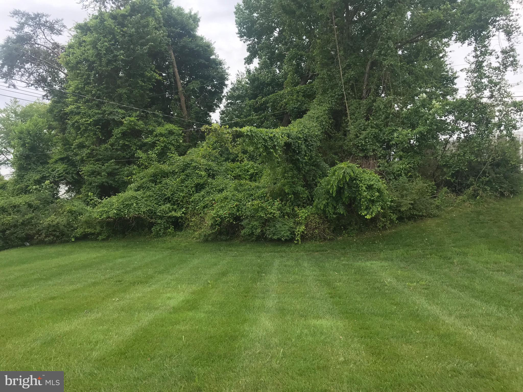 810 Smoke Tree Road Baltimore, MD 21208 - Photo 25 of 25 Wonderful rear yard