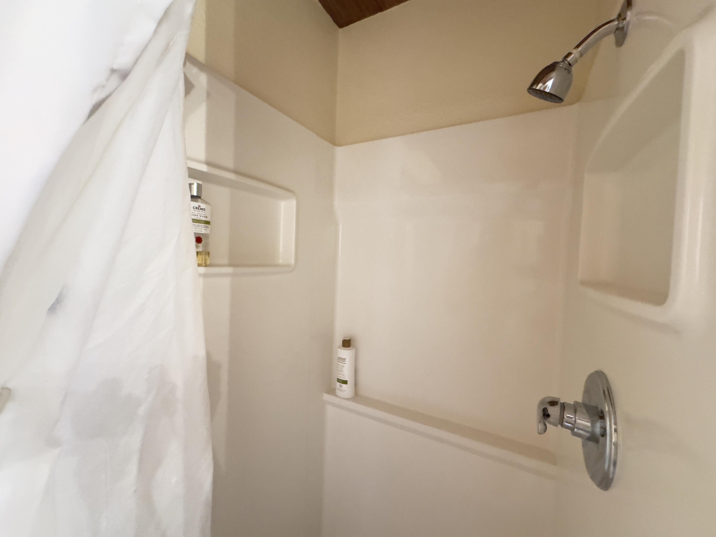 51911 Hogback Miramonte, CA 93641 - Photo 32 of 49 a bathroom with a shower