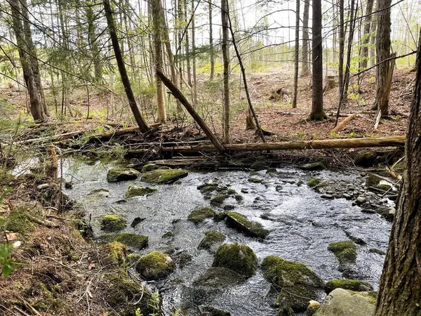 $49,000 | Lot #7 Hammond Brook Road, Monson, ME 04464