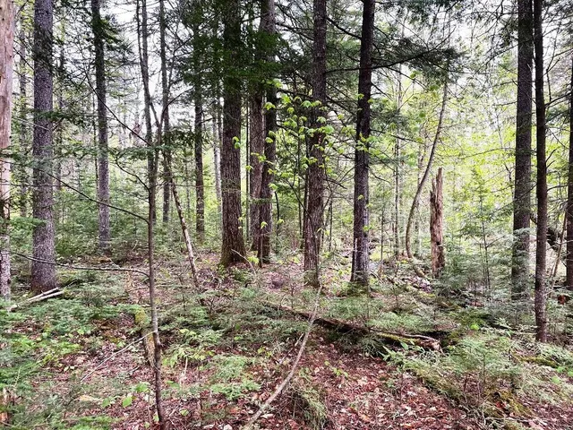 $49,000 | Lot #7 Hammond Brook Road, Monson, ME 04464