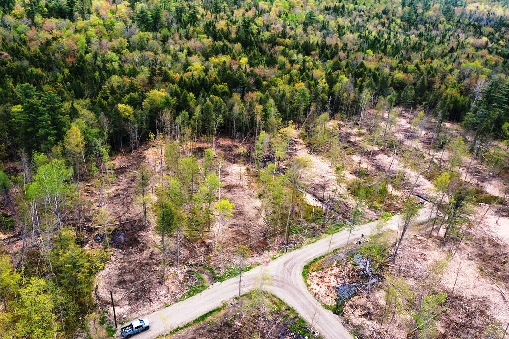Lot #7 Hammond Brook Road Monson, ME 04464 - Photo 10 of 16 DJI_0183