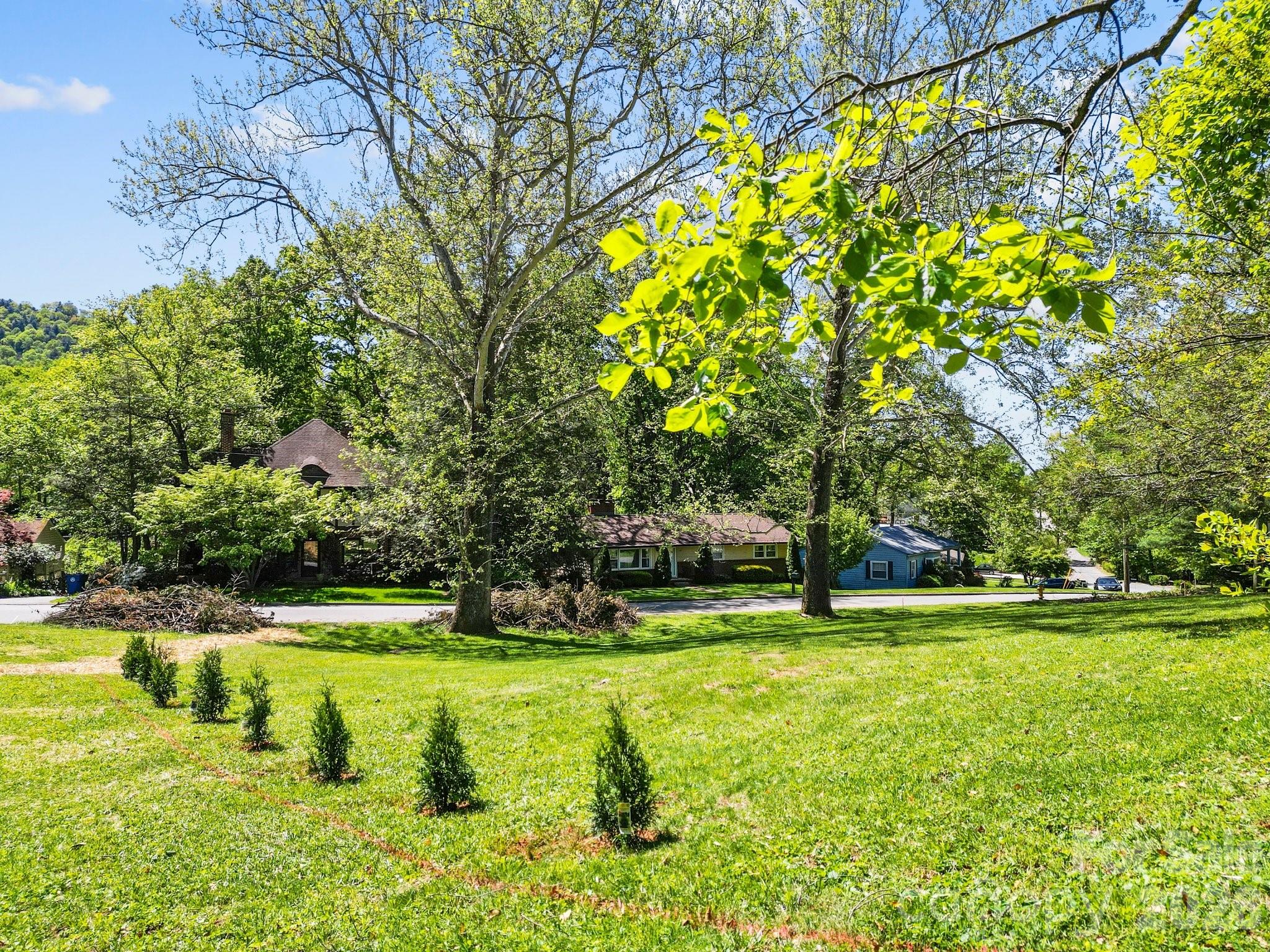 99999 Country Club Road Asheville, NC 28804 - Photo 3 of 12