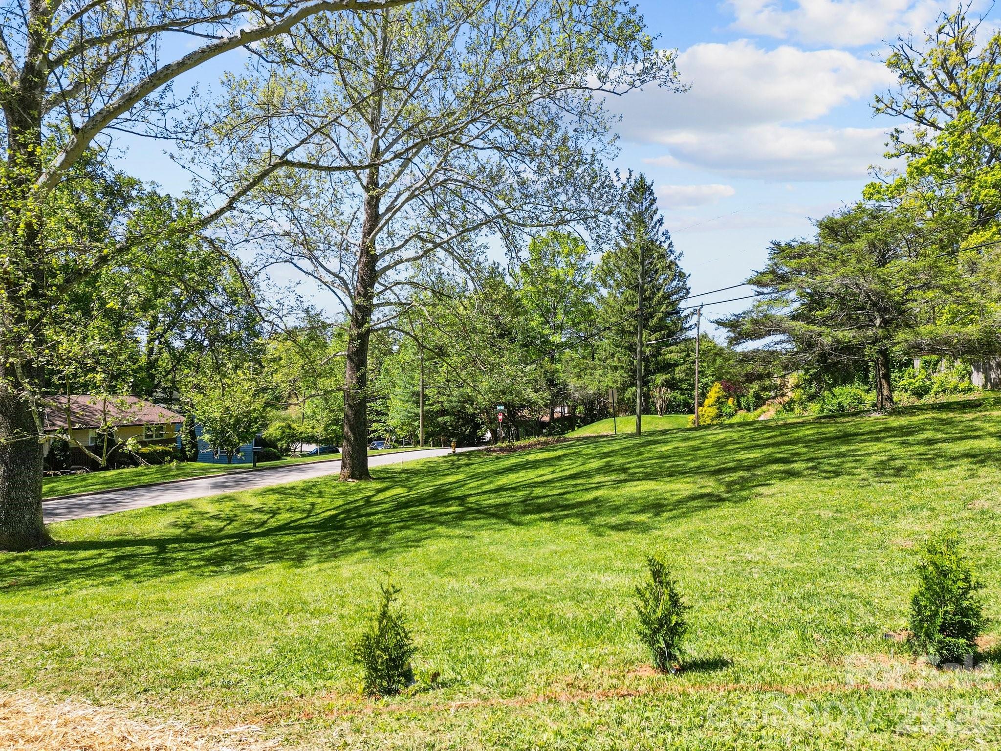 99999 Country Club Road Asheville, NC 28804 - Photo 6 of 12