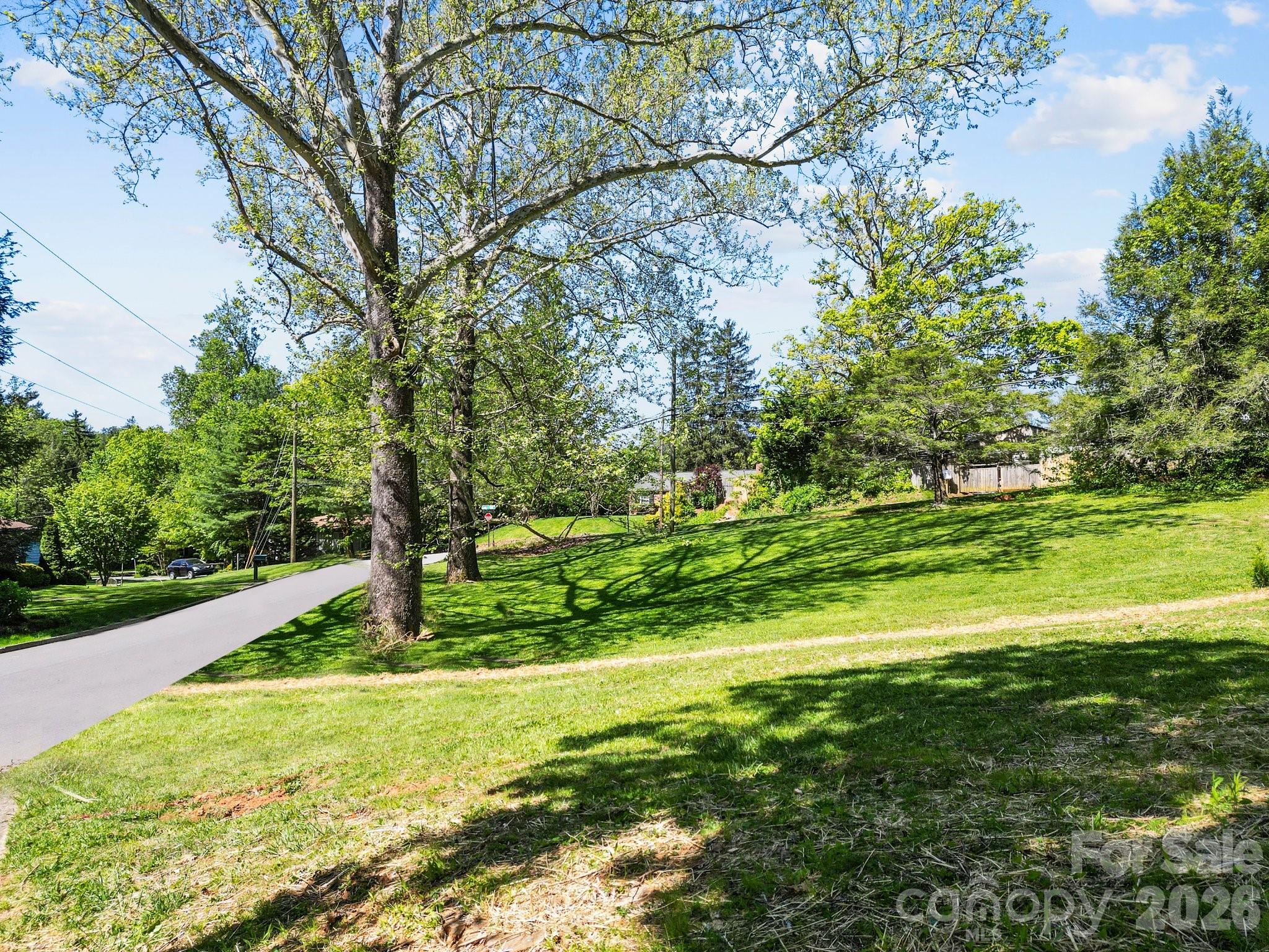 99999 Country Club Road Asheville, NC 28804 - Photo 7 of 12