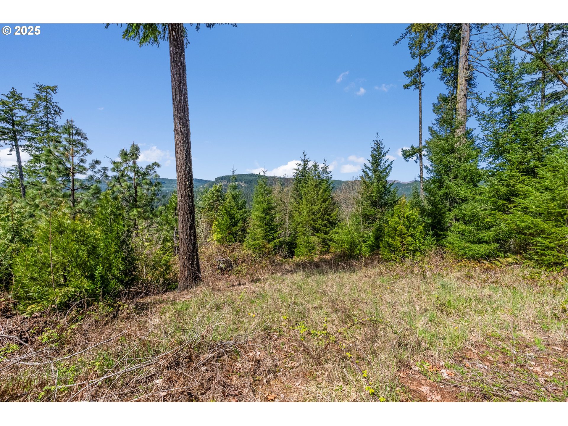 0 Whitewater Road, Unit 2332 Springfield, OR 97478 - Photo 14 of 23