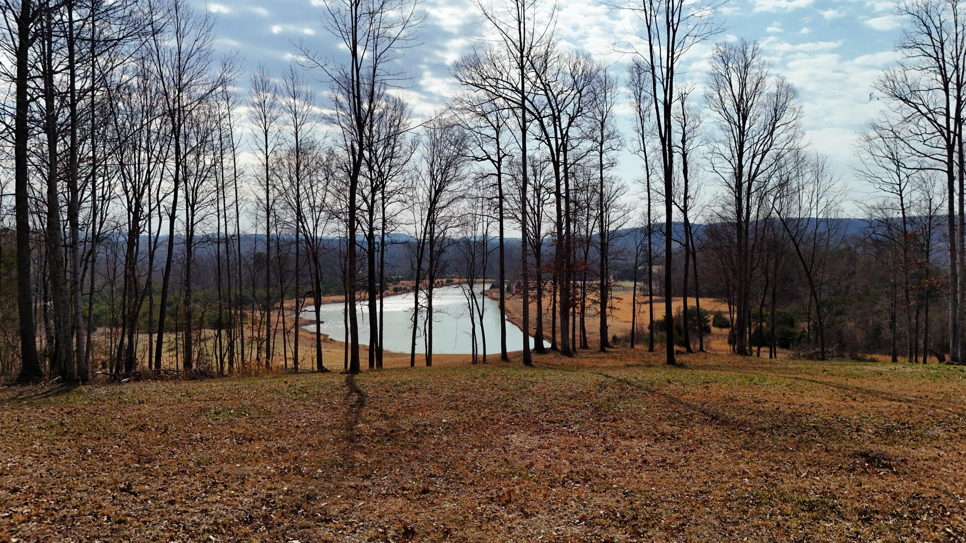 90 High Rdg Lane Albany, KY 42602 - Photo 28 of 44 2263 Denney Rd Albany-15