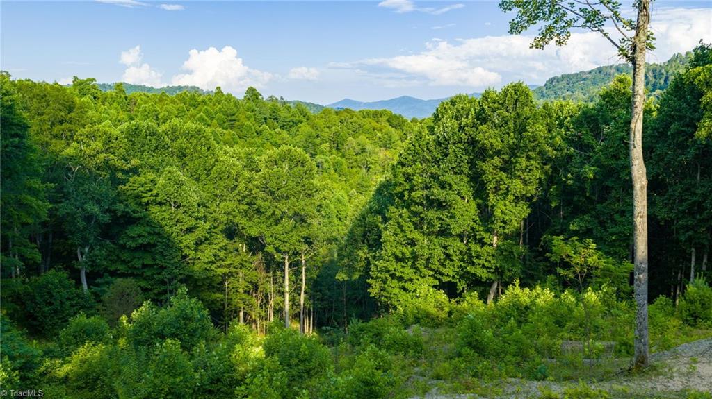 3 Big Laurel Road Creston, NC 28615 - Photo 12 of 17