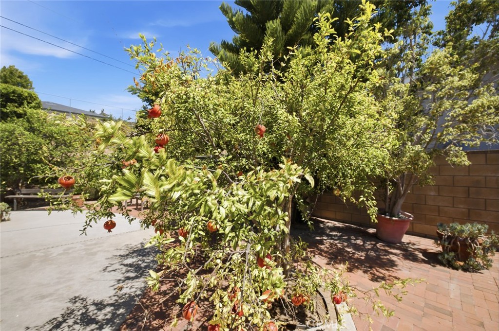 1413 Virginia Road Fullerton, CA 92831 - Photo 36 of 45 Gallery Image 36