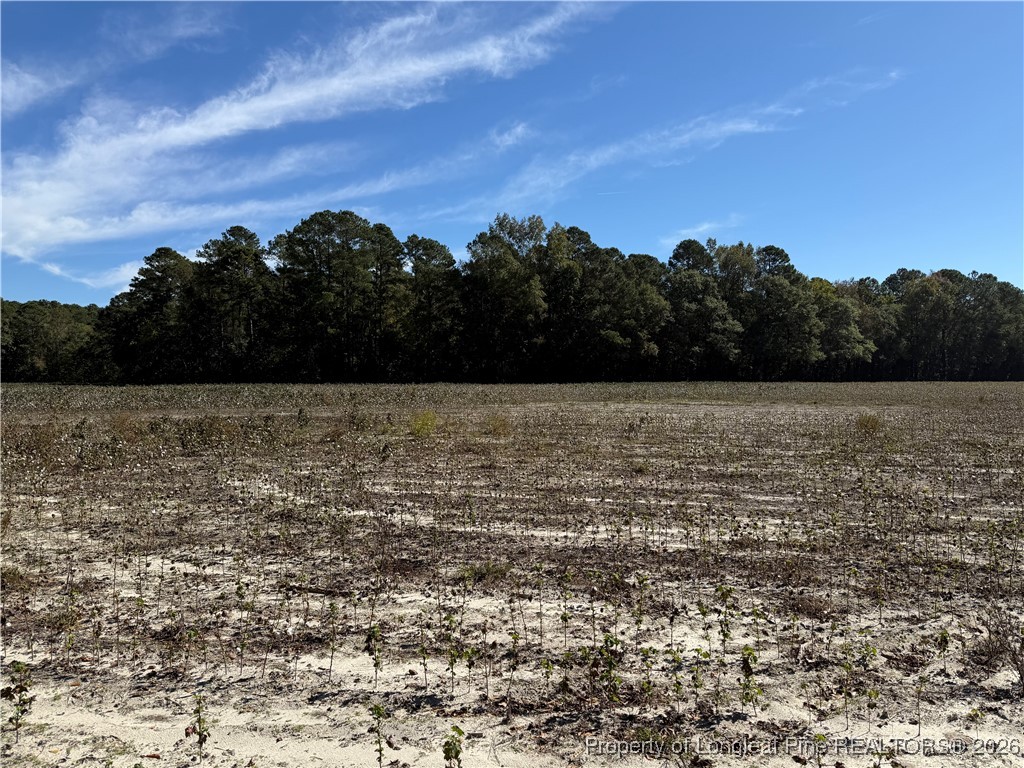 Leggett Road Fairmont, NC 28340 - Photo 3 of 7