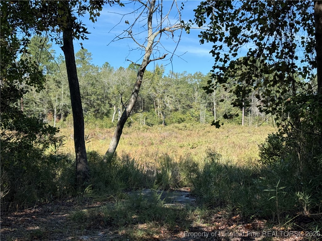 Leggett Road Fairmont, NC 28340 - Photo 5 of 7 where lake/pond was and can be restored