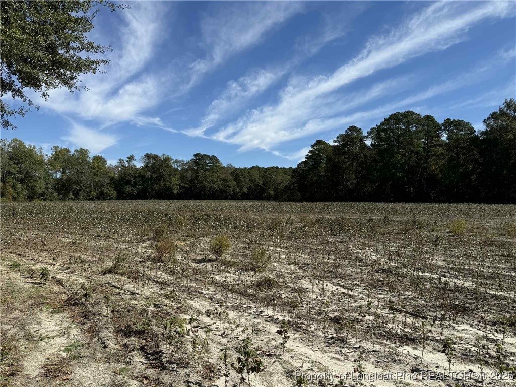 Leggett Road Fairmont, NC 28340 - Photo 6 of 7