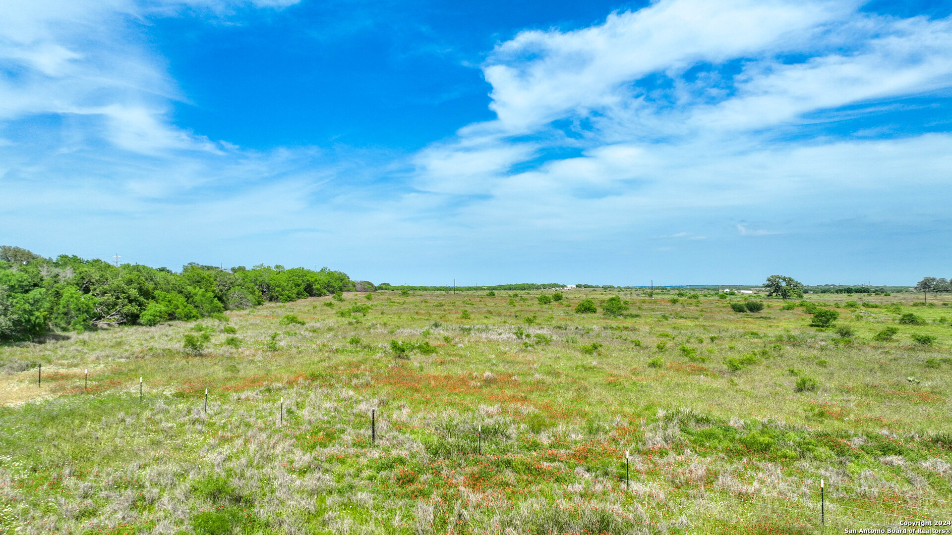 2 East Fm 462 Moore, TX 78057 - Photo 1 of 10