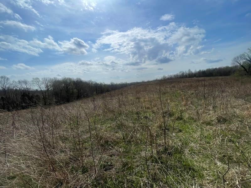 9356 Caneyville Road Morgantown, KY 42261 - Photo 13 of 23 Gallery Image 13