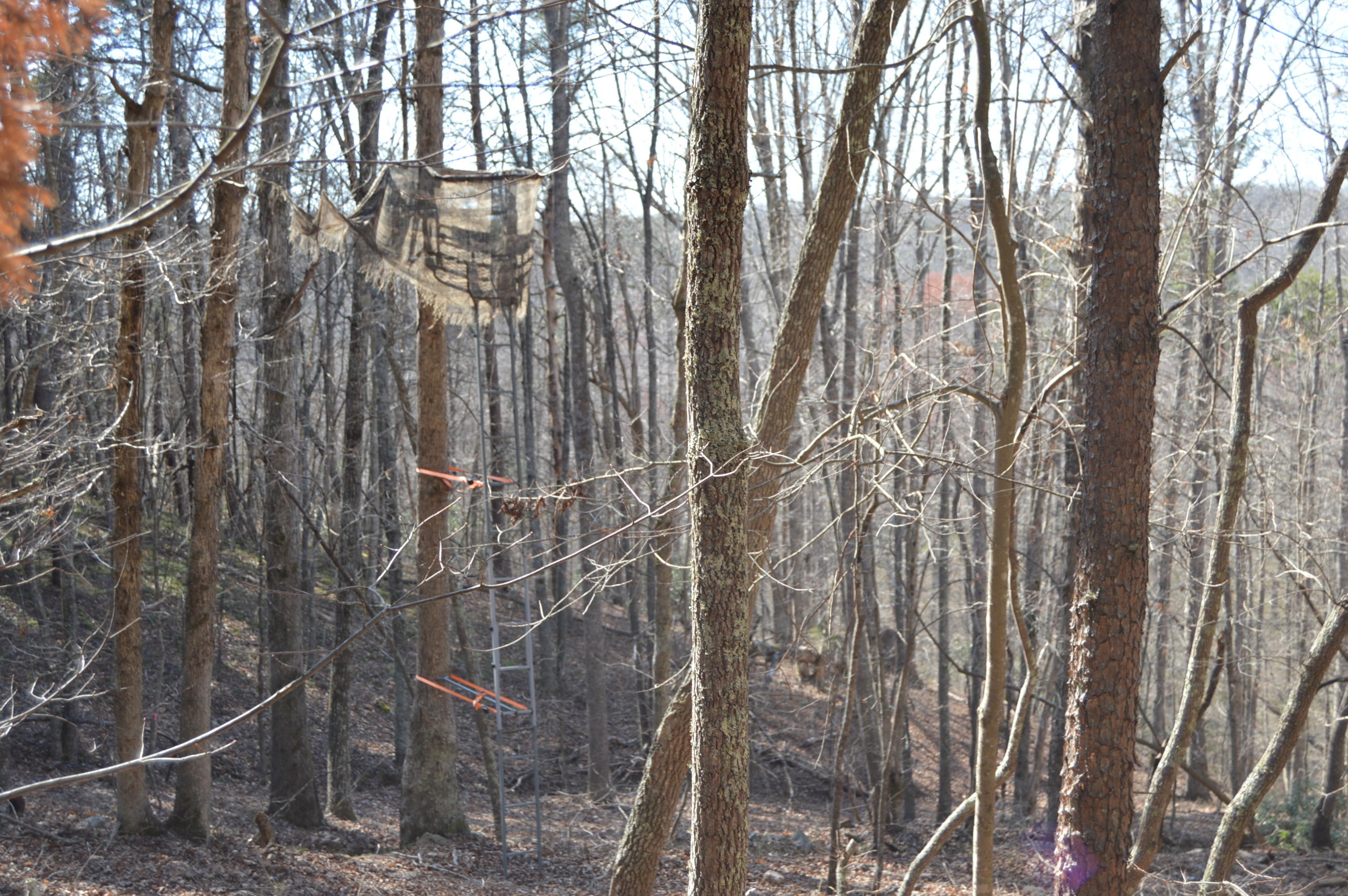 Lot 1 Mill Run Road Chatham, VA 24531 - Photo 18 of 18 Land