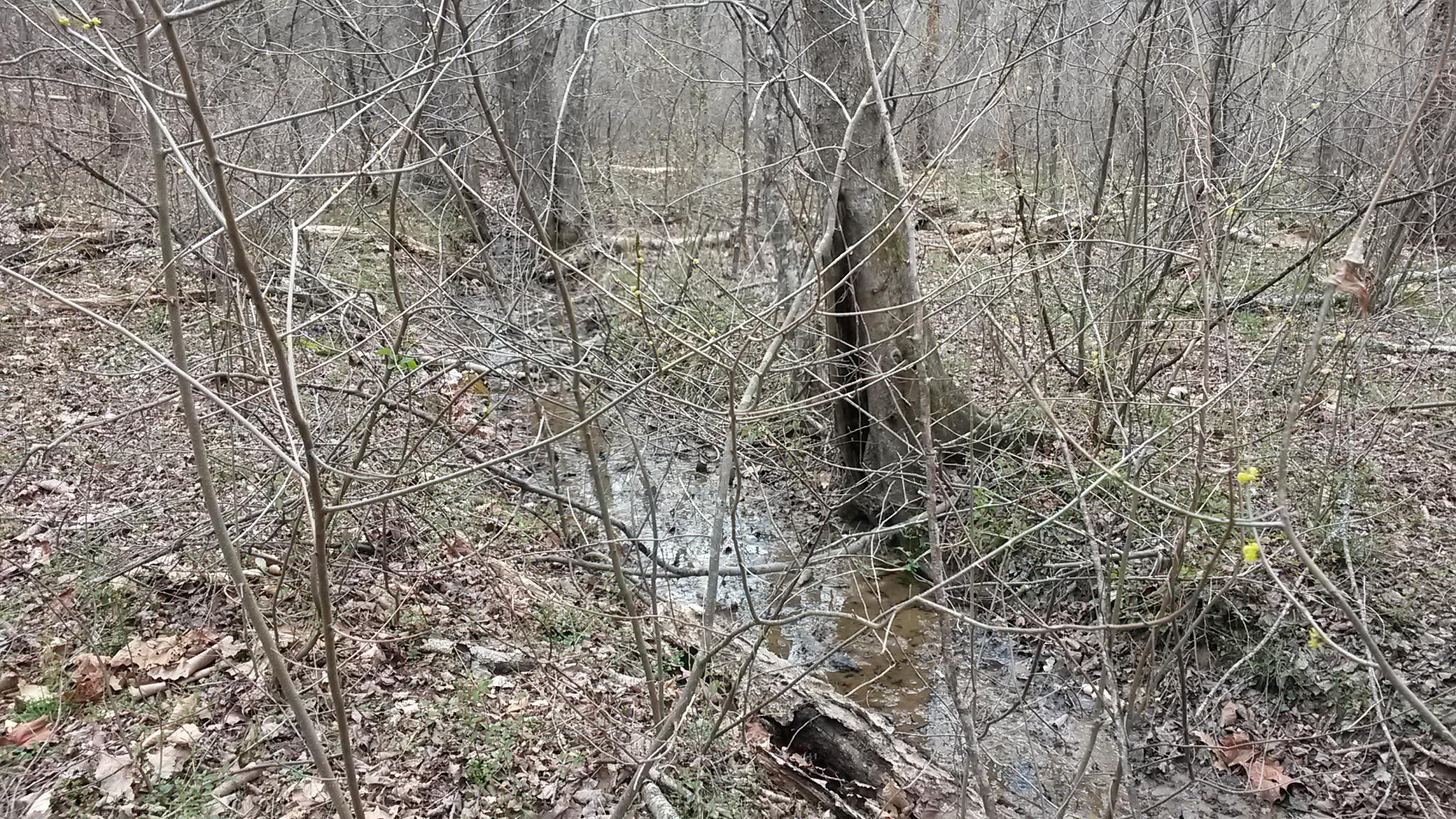 Lot 1 Mill Run Road Chatham, VA 24531 - Photo 6 of 18 Creek