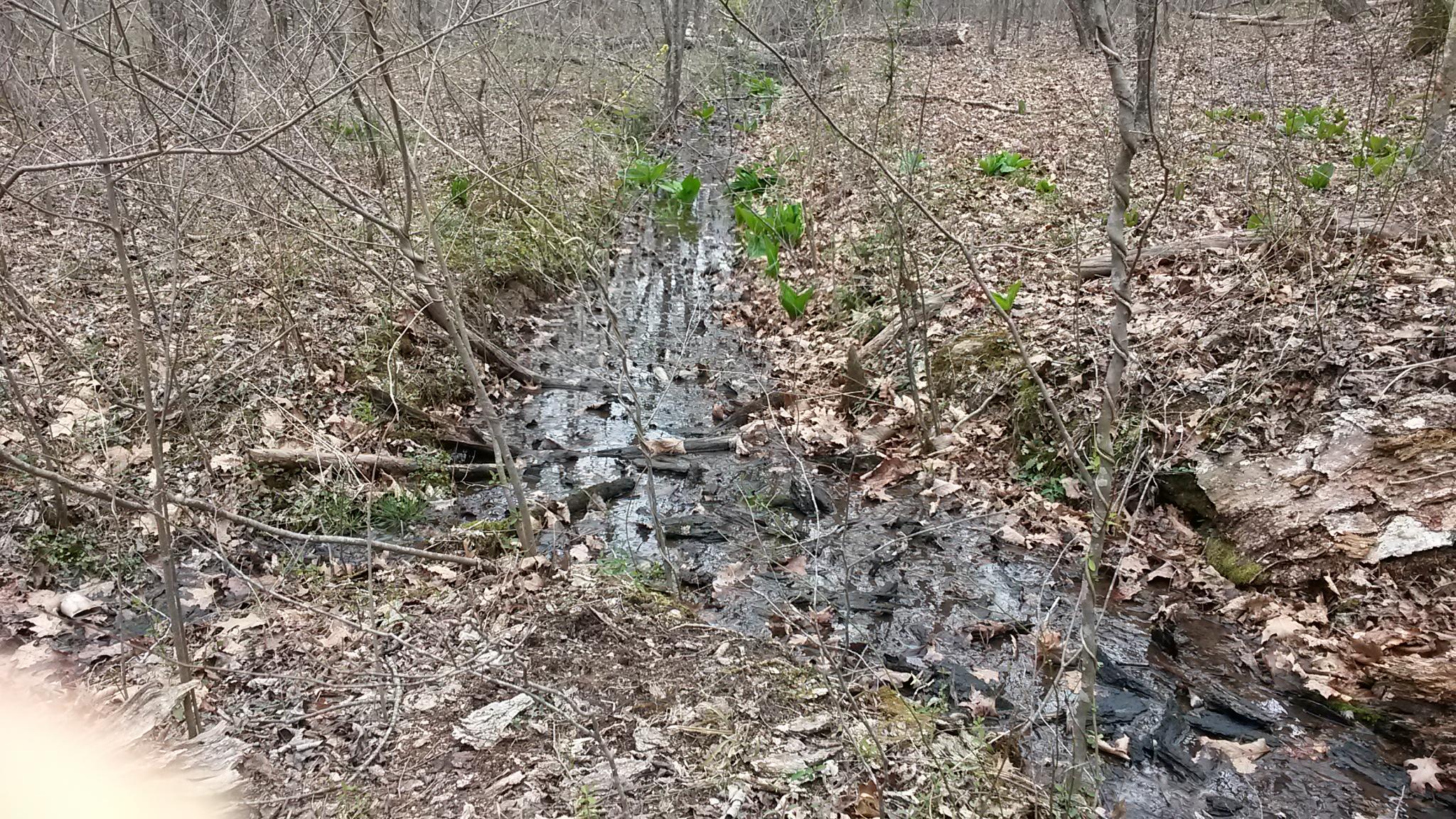 Lot 1 Mill Run Road Chatham, VA 24531 - Photo 8 of 18 Spring