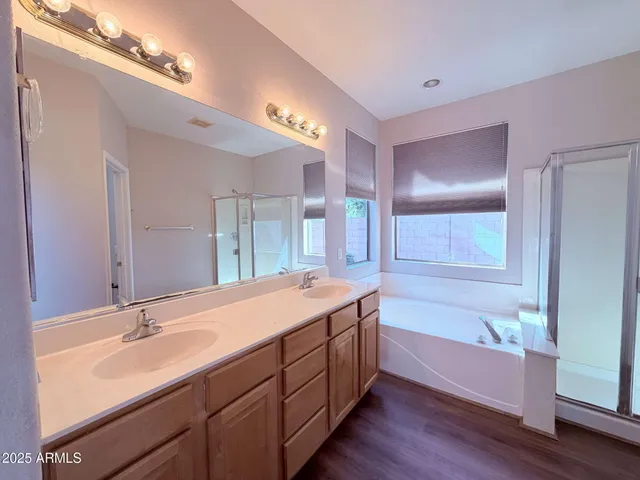 a bathroom with a tub double vanity sink and a large mirror