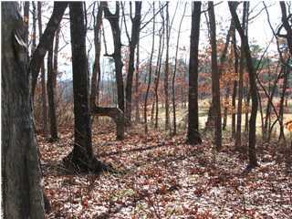 223 Rushing Water Trail, Unit A12 Rising Fawn, GA 30738 - Photo 1 of 12 Primary Photo
