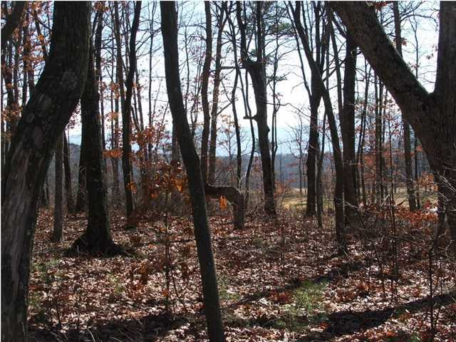 223 Rushing Water Trail, Unit A12 Rising Fawn, GA 30738 - Photo 2 of 12 Additional Photo