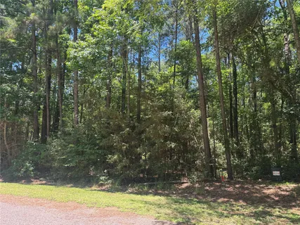 a view of a yard with large trees