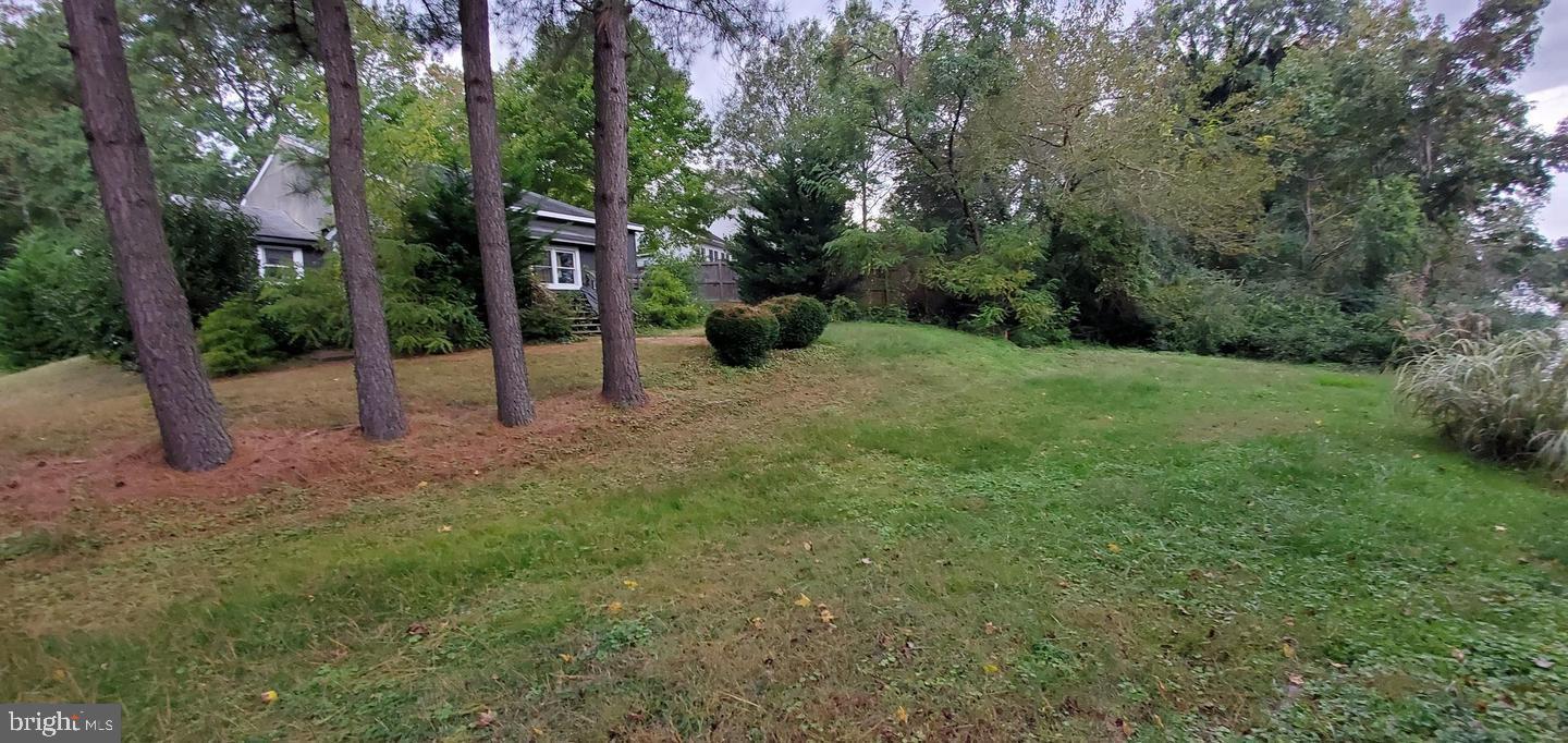 Shoreham Beach Road Edgewater, MD 21037 - Photo 4 of 6 Property Border Tall Pines